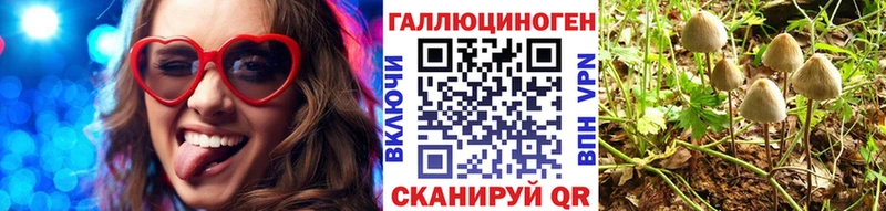 Галлюциногенные грибы Cubensis  Раменское 